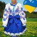 Комплект вишиванка зі спідницею